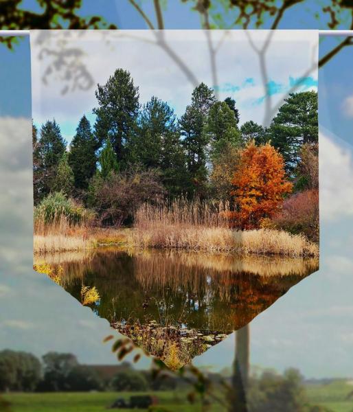 Scheibenhänger Herbstteich transparent - mit Spitze Gardine Made in Germany
